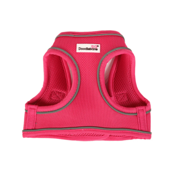 Doodlebone Snappy Harness Fuchsia