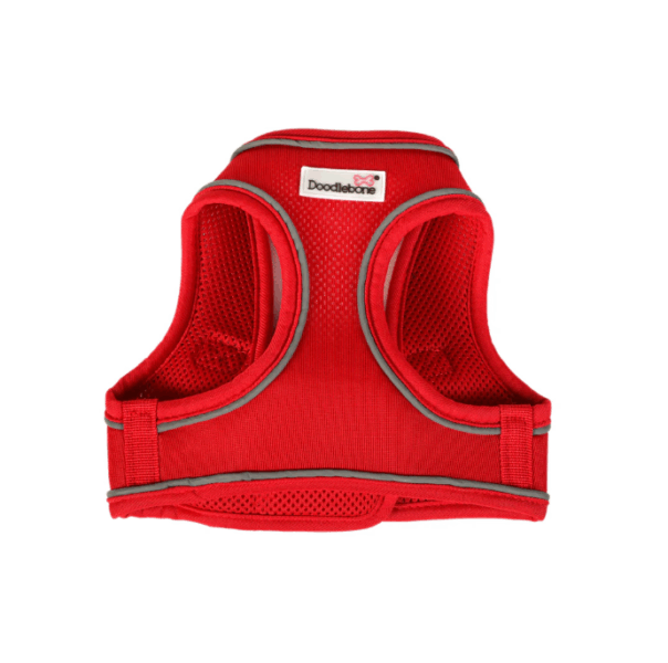 Doodlebone Snappy Harness Ruby