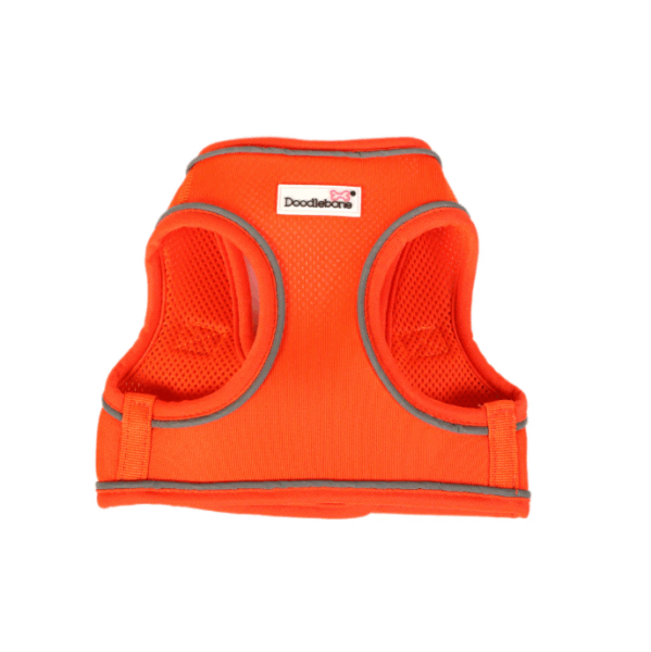 Doodlebone Snappy Harness Tangerine