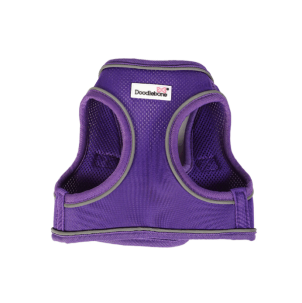 Doodlebone Snappy Harness Violet