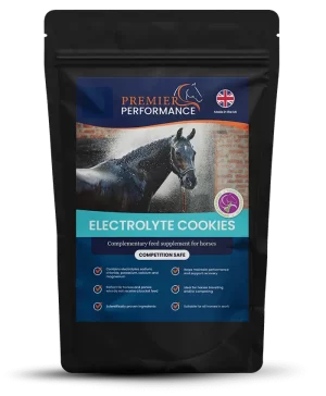 Electrolytes Cookies (10 Cookies)