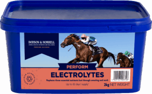 D&H Electrolytes 2kg