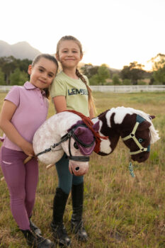 LeMieux Hobby Horse