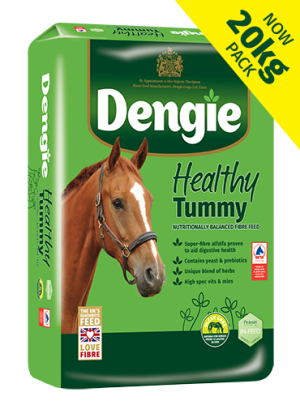 Dengie Healthy Tummy 20kg