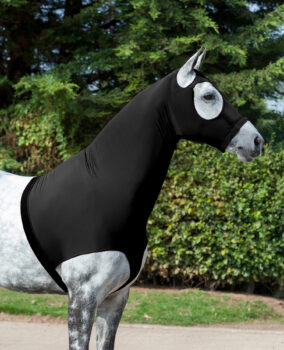 LeMieux Stretch Hood