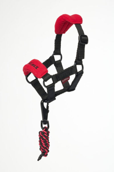 LeMieux Toy Pony Vogue Headcollar Chilli