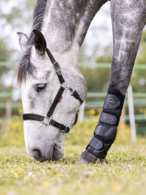 LeMieux Break Away Headcollar