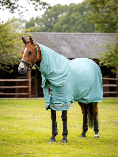 LeMieux Arika Ripstop 0g Turnout Rug Lagoon