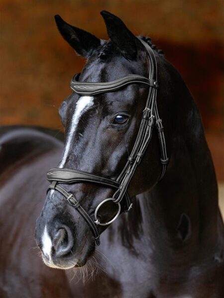 LeMieux Kudos Contour Flash Bridle