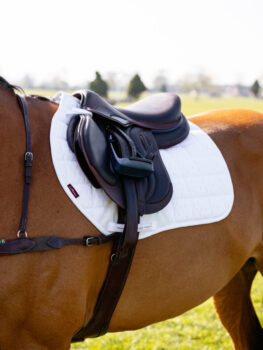 LeMieux 3D Mesh Self-Cool Eurojump Square