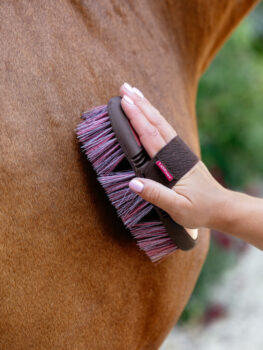 LeMieux Flexi Flicky Brush