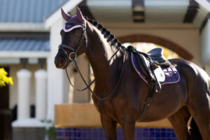 LeMieux Merino+ Loire Close Contact Pad