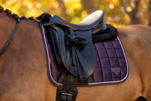 LeMieux Merino+ Loire Dressage Square