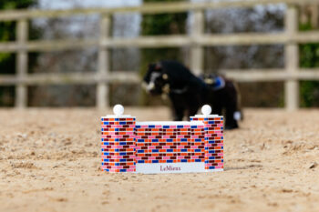 LeMieux Toy Pony Puissance Wall One Size