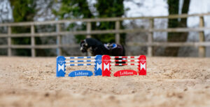 LeMieux Toy Pony Jump Set Benetton/Chilli/White