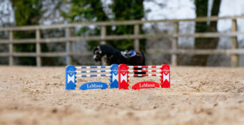 LeMieux Toy Pony Jump Set Benetton/Chilli/White