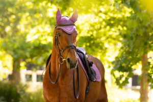 LeMieux Classic Fly Hood