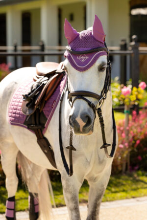 LeMieux Mini Fly Hood