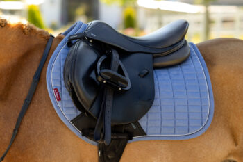 LeMieux Mini Jump Suede Pad