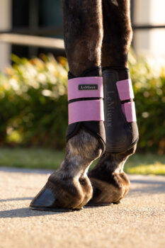 LeMieux Air-Tek Grafter Brushing Boots
