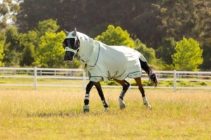 LeMieux Arika Armour-Tek Fly Rug