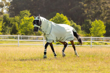 LeMieux Arika Armour-Tek Fly Rug