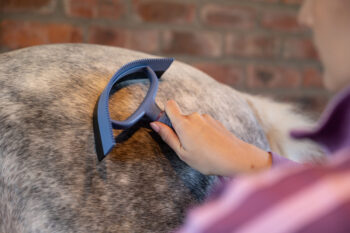Sweat Scraper Powder Blue One Size