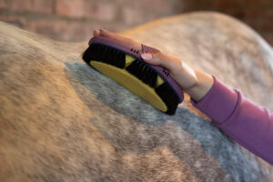 LeMieux Flexi Sponge Brush