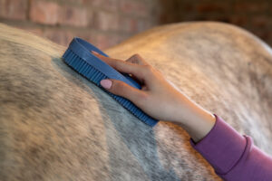 LeMieux Wizard Brush Trio