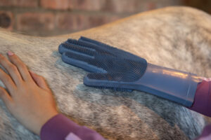 LeMieux Washing Glove
