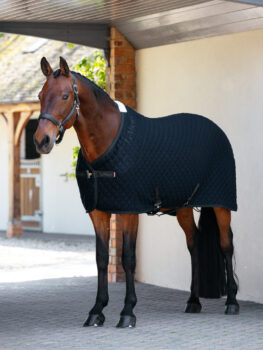 LeMieux Arika Clima-Tek Rug