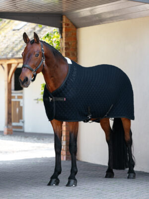 LeMieux Arika Clima-Tek Rug