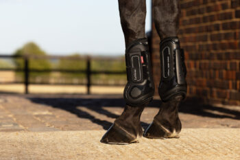 LeMieux Derby Shield Tendon Boots