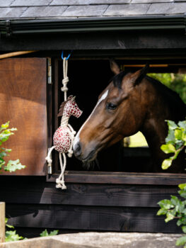 LeMieux Horse Toy