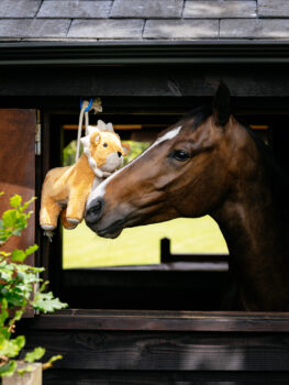 LeMieux Plush Horse Toy