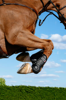 LeMieux Impact Pro Tendon Boots