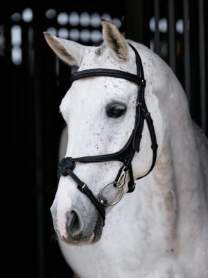 LeMieux Kudos Grackle Work Bridle