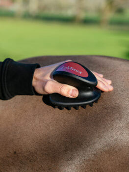 LeMieux Massage Brush Black