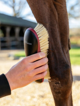 LeMieux Dandy Body Brush Black