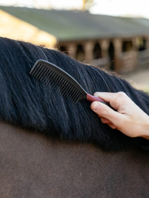 LeMieux Mane Comb Black