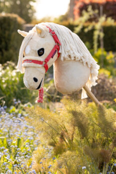LeMieux Harlow Hobby Horse Headcollar & Leadrope