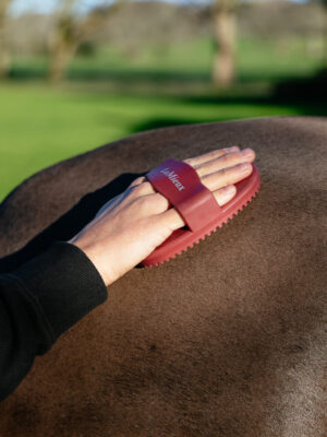 LeMieux Rubber Curry Comb Red