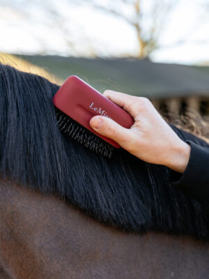LeMieux Mane Tamer Red
