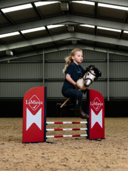 LeMieux Hobby Horse Jumps