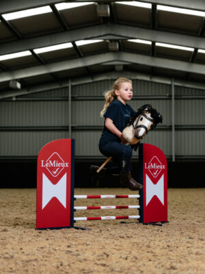 LeMieux Hobby Horse Jumps