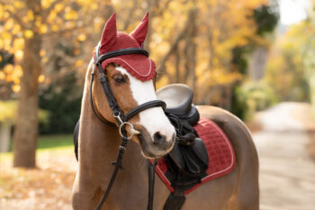 LeMieux Classic Fly Hood