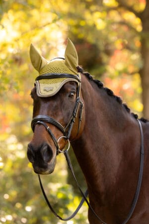 LeMieux Loire Fly Hood