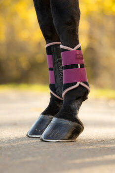 LeMieux Air-Tek Grafter Brushing Boots