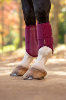 LeMieux Arika Mesh Brushing Boots