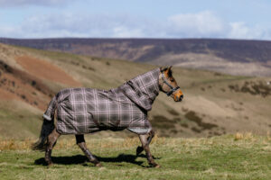 LeMieux Arika Heritage Check 200g Turnout Rug